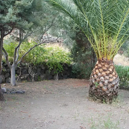 Holiday home Casa Conti *