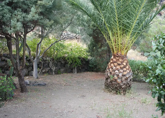 Tatil Evi Casa Conti *